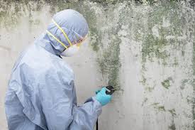 Best Forensic Mold Investigation in Elliston, VA